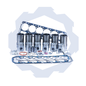 JGO DE MOTOR INTERNACIONAL DT466 ELECTRÓNICO